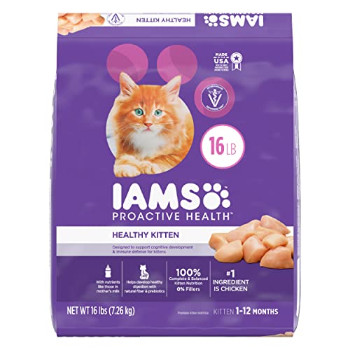 IAMS PROACTIVE HEALTH Healthy Kitten Dry Cat Food with Chicken Cat Kibble, 16 lb. Bag - Dry Food - 16 Pound (Pack of 1)