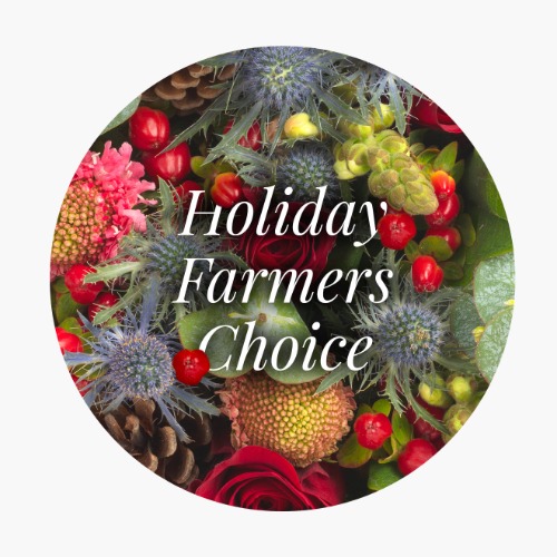 Surprise Bouquet | Holiday Farmers Choice