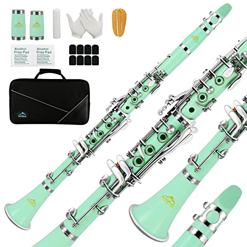 EASTROCK Clarinet Bb Flat 17 Nickel Keys Green Beginner Clarinet for Student with 2 Barrels Hard Clarinet Cas and Clarinet Cleaning Kit. - green