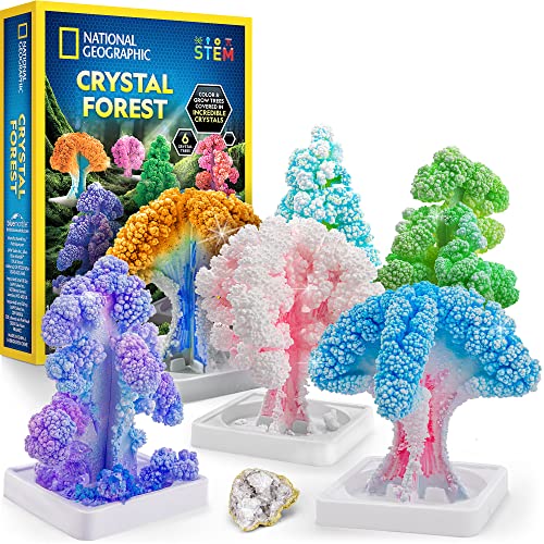 Crystal Forest Growing Kit