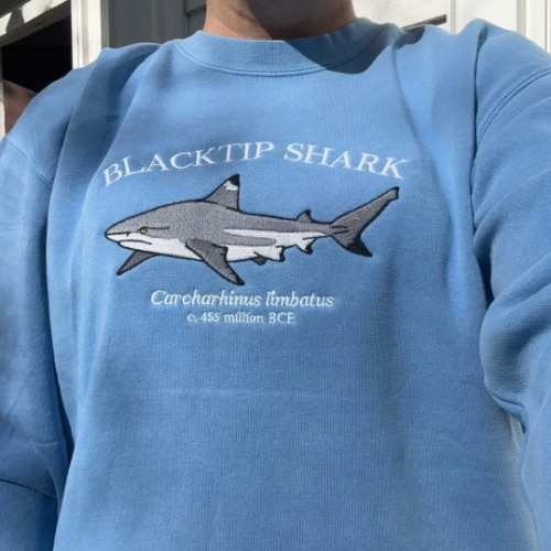 (PREORDER) Blacktip Shark | M