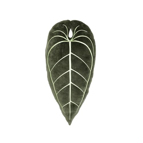 Green Philosophy Co. Plush Succulent Leaf Pillow 3D Accent Anthurium Warocqueanum Plant Throw Pillows for Couch Sofa Living Room Home Decor for Plant & Garden Lovers, Green Thumb Family & Friends - Anthurium Warocqueanum