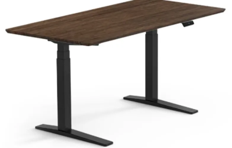 Standing Desk | FlexiSpot E7 Pro