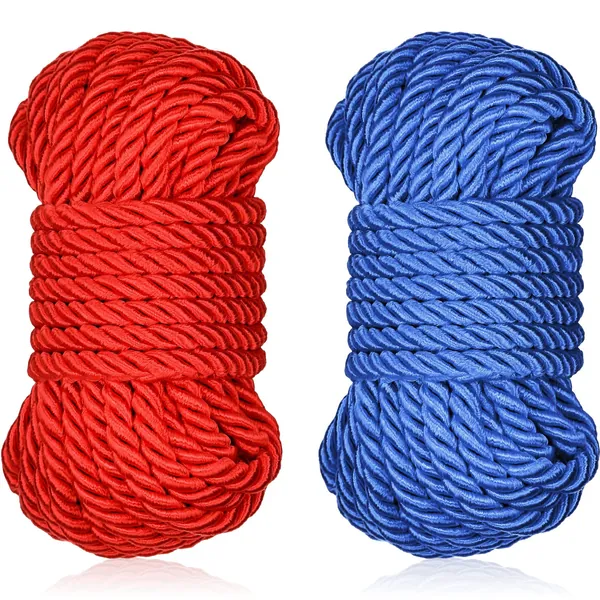 Braided Twisted Silk Ropes 8mm Diameter Soft Solid Braided Twisted Ropes Decorative Twisted Satin Shiny Cord Rope for All Purpose and DIY Craft (Red, Royal Blue,2 Pieces)