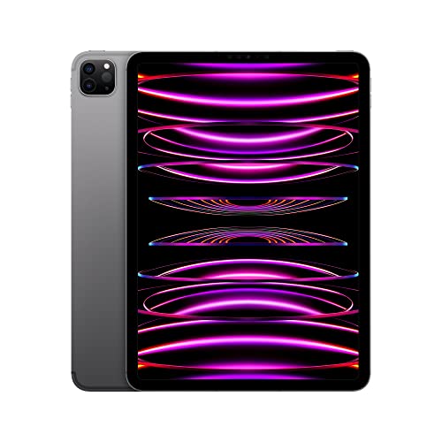 Apple iPad Pro 11-inch (4th Generation): with M2 chip, Liquid Retina Display, 256GB, Wi-Fi 6E + 5G Cellular, 12MP front/12MP and 10MP Back Cameras, Face ID, All-Day Battery Life – Space Gray - WiFi + Cellular - 256 GB - Space Gray