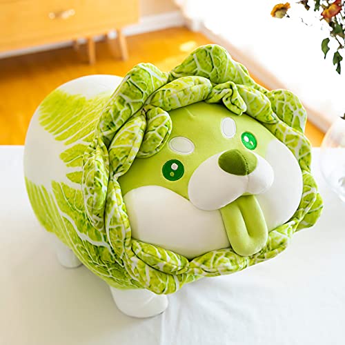 Maomoto Cabbage Dog Plush Toys Vegetable Dog Toy, 15.7" Cabbage Shiba Inu Corgi Akita Dog Stuffed Figure, Cute Vegetables Dog Hugging Pillow, Soft Toy Children's Gift