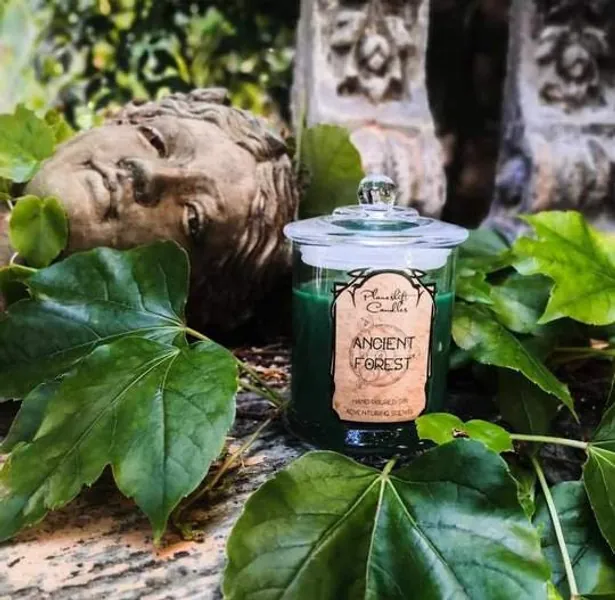 Ancient Forest - Hand Poured Soy TTRPG Inspired Candle - Adventuring Scents - Dungeons and Dragons Candles