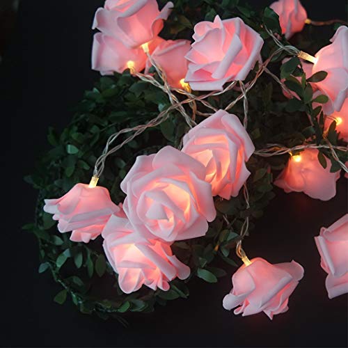 Fantasee LED Pink Rose Flower String Lights Battery Operated for Wedding Home Party Birthday Festival Indoor Outdoor Decorations Large Rose Flower Diameter 6cm (6.6ft 20LED, Pink Rose Warm Lights) - 6.6ft 20LED - Pink