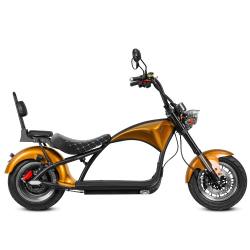 eAhora DOT Approved M1 2 Seat 2000W 37Mph Electric Motorcycle for Adults, 40 Miles 60V 30ah Lithium Battery, Street Legal 2 Person Electric Mopeds for Adults, Dual Hydraulic Brake for Urban Commuting - Flash-Gold M1