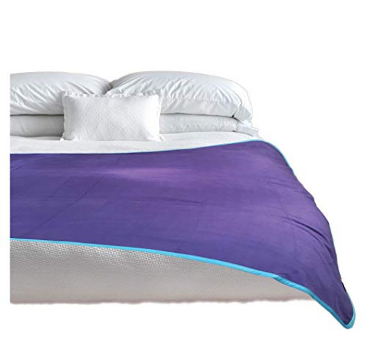 TOP 100% Waterproof Blanket Purple/Blue Jumbo 80x60 for Adults and Pets. Keep Everything Dry No Matter How Wet It Gets! Ultrasoft Noiseless Leakproof. Bed, Mattress, Furniture Protector. EZ Wash/Dry - Jumbo (80 in x 60 in) - Purple Blue Reversible