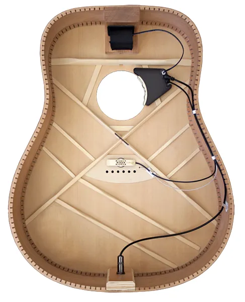 LR. Baggs Anthem guitar pickup