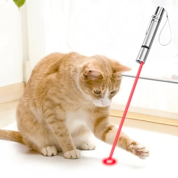 Interactive Cat Toy,LED Chargable Projetcor Chasing Toy for Cat