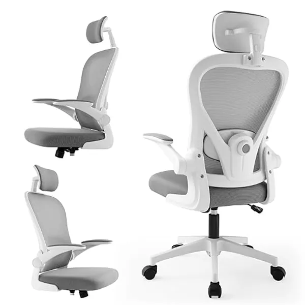 Ordeluxe Silla de Oficina Ergonómica, Silla Gaming, con Reposacabezas Ajustable, Soporte Lumbar y Apoyabrazos Plegables, Asiento Cómodo para Juegos, Capacidad Máxima de 120 kg - 519-wg