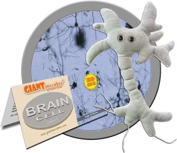 Giant Microbes - Brain Cell (Neuron)