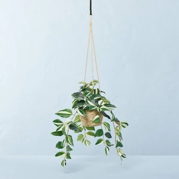 Faux Variegated Zebrina Leaf Hanging Basket Arrangement - Hearth & Hand™ with Magnolia