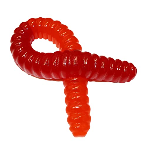 The Gummy Bear Guy | World's Largest Gummy Worm - (Cherry/Orange) - Cherry/Orange