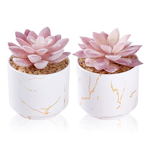 ZENIDA Artificial Plants and Succulents in 2 White Ceramic Pots,Small Fake Plants for Office and Desk Decor,Bathroom, Bedroom,Shelves for Women - White - 2