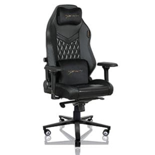 E-WIN Champion Upgraded Series Ergonomic Computer Gaming Office Chair with Pillows - CPF-REV | CP-BB3F-REV