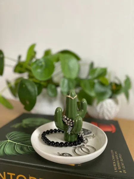 Ceramic Cactus Jewellery Stand