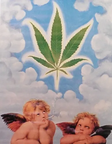 take me to the dispo! 🌱🩷