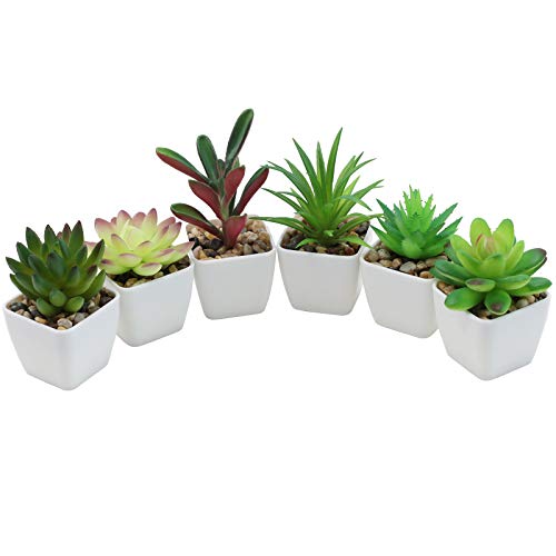 Nubry Mini Fake Succulent Plants Artificial Plastic Succulents Potted Faux Assorted Plants for Home Office Table Decoration, Set of 6