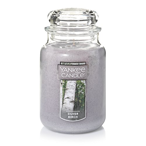 Yankee Candle Silver Birch Scented, Classic 22oz Large Jar Single Wick Aromatherapy Candle, Over 110 Hours of Burn Time, Apothecary Jar Fall Candle, Autumn Candle Scented for Home - Silver Birch - Classic Large Jar