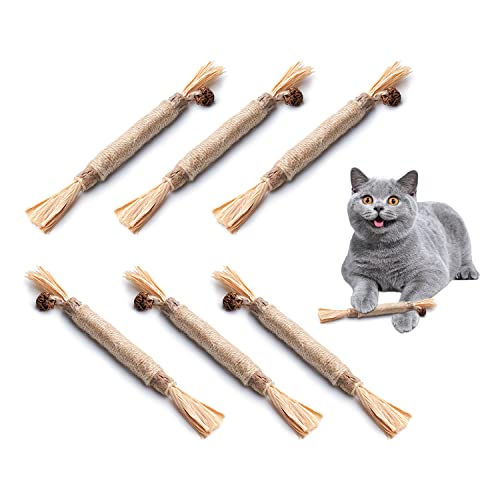 Potaroma 6 Pcs Natural Silvervine Sticks Cat Toys, Catmint Silvervine Blend Sticks, Kittens Chew Toys for Teeth Cleaning, Matatabi Dental Care Cat Treat, Edible Kitty Lick Toys - 6 Sticks