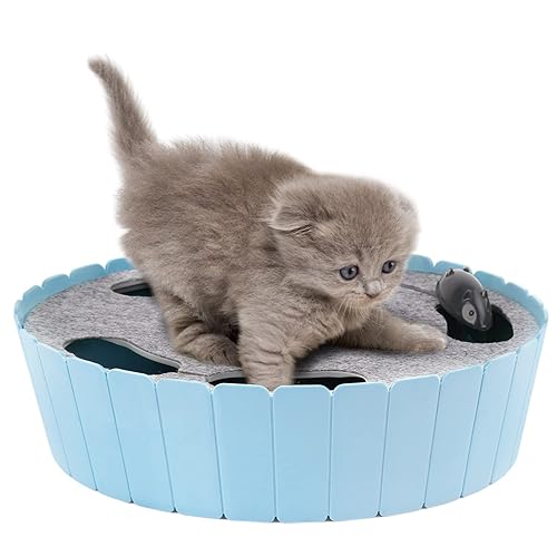 Pawaboo Interactive Cat Toy with Running Mouse, Electronic Motion Cat Toy Automatic Teaser for Indoor Cats, Pop and Play Hide Seek Cat Toy Hunting Mouse for Pet Cat Kitten Play Fun Exercise, Blue - Blue