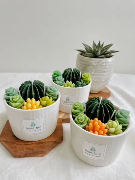 The Succulent Pot Candle. A Perfect Decor Item for All Succulent, Cactus, Plant Lovers