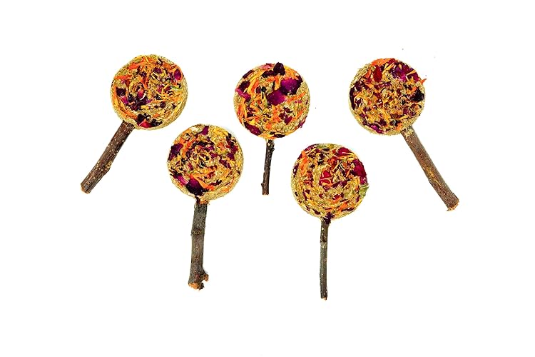 No Furries Delights Forage Pops: 5-Pack of 100% Natural, High Fiber Enrichment Treats for Rabbits, Hamsters, Guinea Pigs, Chinchillas, Rats, and Mice - Perfect for Dental Health, Bonding, and Training