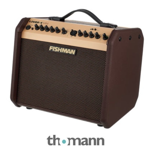 Fishman Loudbox Mini with Bluetooth