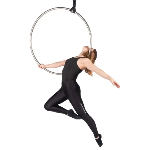 Aerial Hoop Classes for February