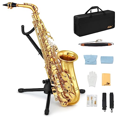 Eastar AS-Ⅱ Student Alto Saxophone E Flat Gold Lacquer Alto Beginner Sax Full Kit With Carrying Sax Case Mouthpiece Straps Reeds Stand - Beginner - Golden