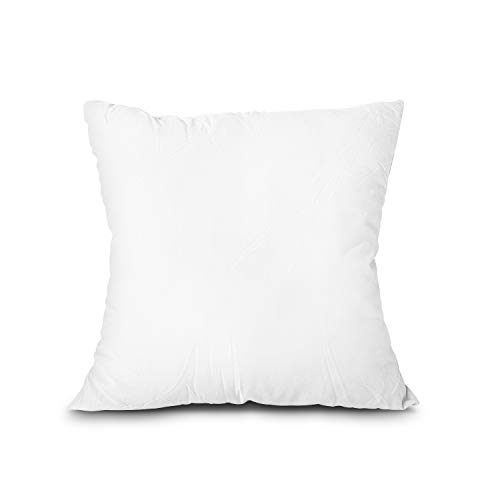 EDOW Throw Pillow Insert, Lightweight Soft Polyester Down Alternative Decorative Pillow, Sham Stuffer, Machine Washable. (White, 18x18) - 18"x18"