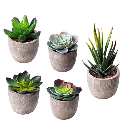 HBlife Fake Plants Artificial Succulent Plants Assorted Decorative Faux Succulent Potted Fake Cactus Cacti Plants Gray Pots, Set of 5 - Style 1