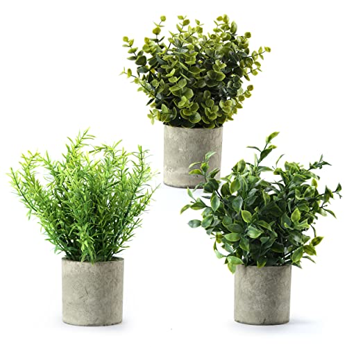 3 Pack Mini Artificial Plants for Decor - 9.5 Inches Eucalyptus Boxwood Rosemary Fake Plants - Small Potted Faux Indoor Plants for Home, Kitchen, Living Room, Office, Table, Shelf, and Greenery Decor