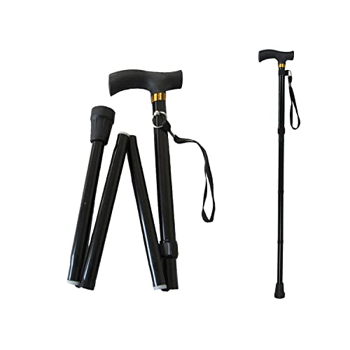 Canne pour HandiShiny