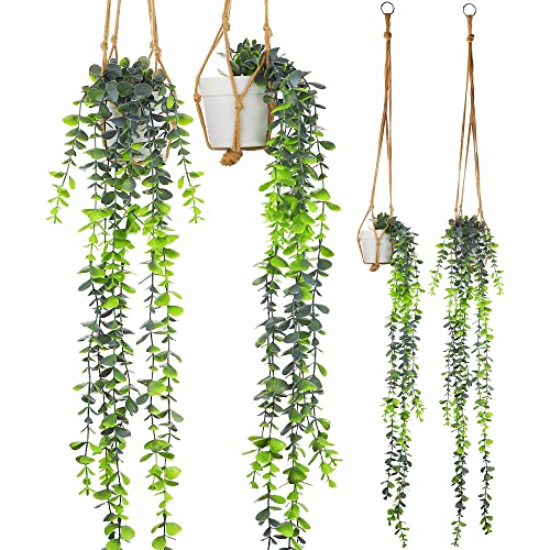 Hanging Plants with Plant Hangers