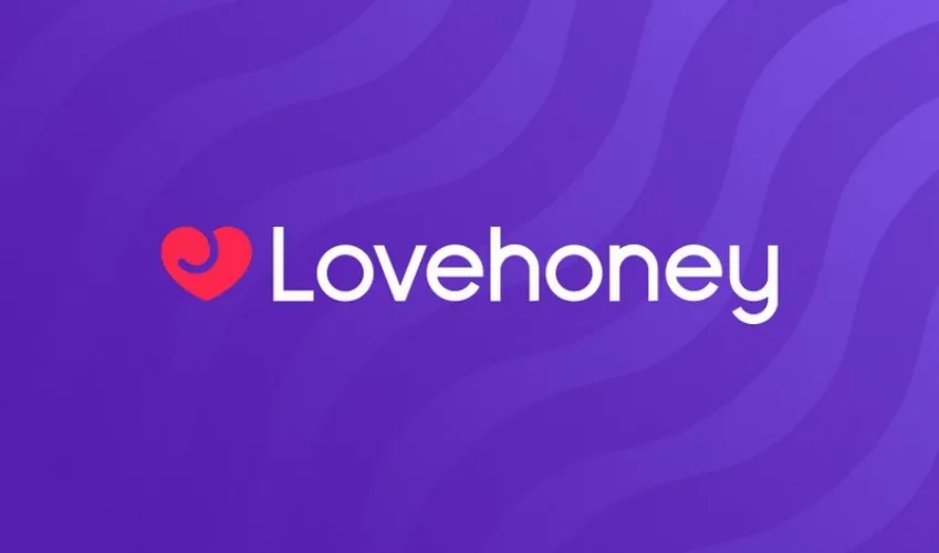 Lovehoney TOY