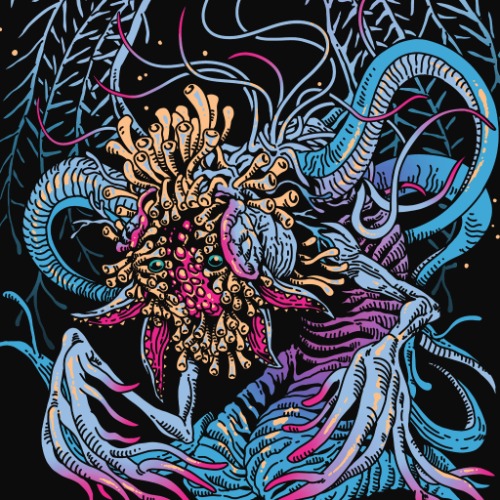 Daughter of the Cosmos | Women's S / Vintage Black