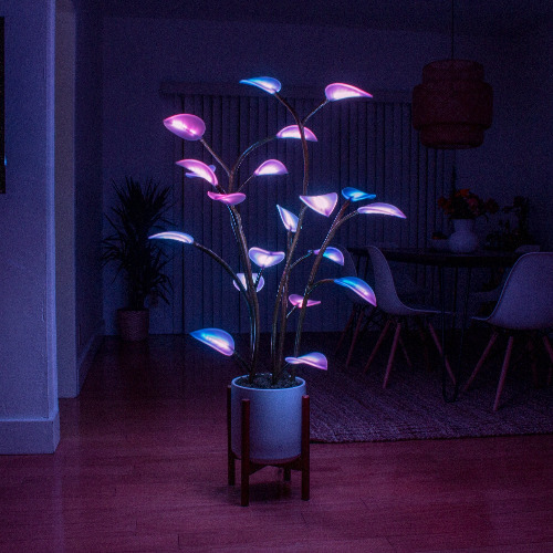 Fluora Floor Plant 
