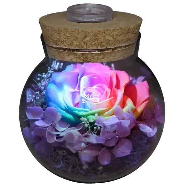 Preserved Real Roses with Colorful Mood Light Wishing Bottle,Eternal Rose，Never Withered Flowers,for Bedroom Party Table Decor, Christmas Anniversary,Valentine's,Mother's Day, roliys(Multi)