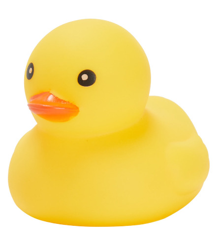 Sporti Fun Duckies Small 2.5"