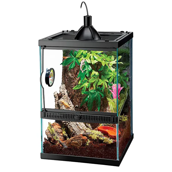 Zilla Tropical Vertical Habitat Starter Kit for Small Tree Dwelling Reptiles & Amphibians Like Geckos and Frogs - Terrarium