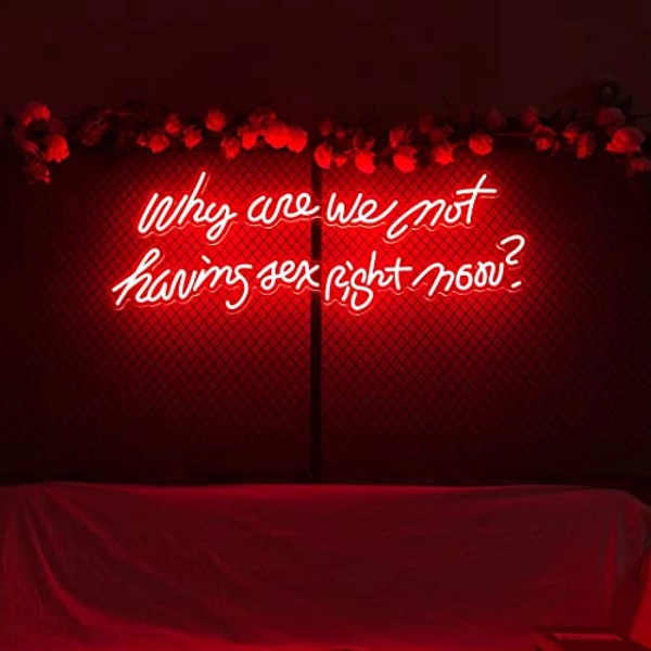 AOOS CUSTOM Why Are We Not Having Sex Right Now Neon Sign for Wall Decor, Neon Lights for Bedroom Decor, Home Decor, Aesthetic Room Decor, Wedding Decor, Party Lights, Bathroom Decor, Kitchen Décor