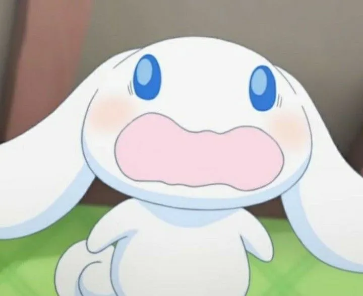 fashion shopping spree