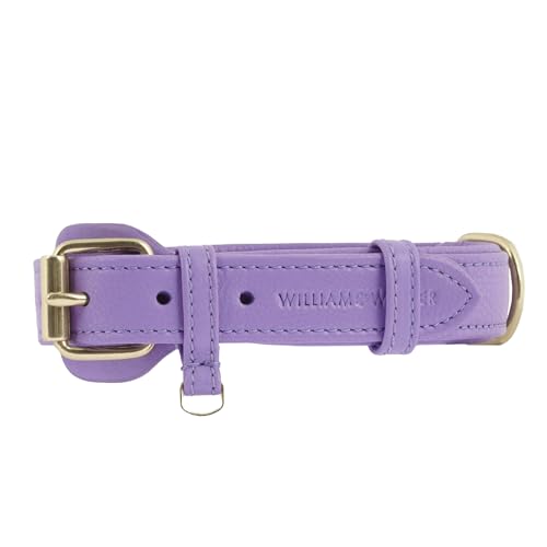 William Walker - Hochwertiges Hundehalsband aus Rindsleder - Maximal robust, langlebig und pflegeleicht - Für kleine, mittlere und große Hunde (XS (25cm - 32cm), Azure) - M (37cm - 44cm) - Lavender