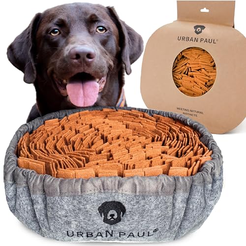 URBAN PAUL® Schnüffelteppich für Hunde - Beste Materialien - extrem widerstandsfähiges Intelligenzspielzeug für Hunde - größenverstellbar und waschbar (grau) - 48x48 cm - Grau