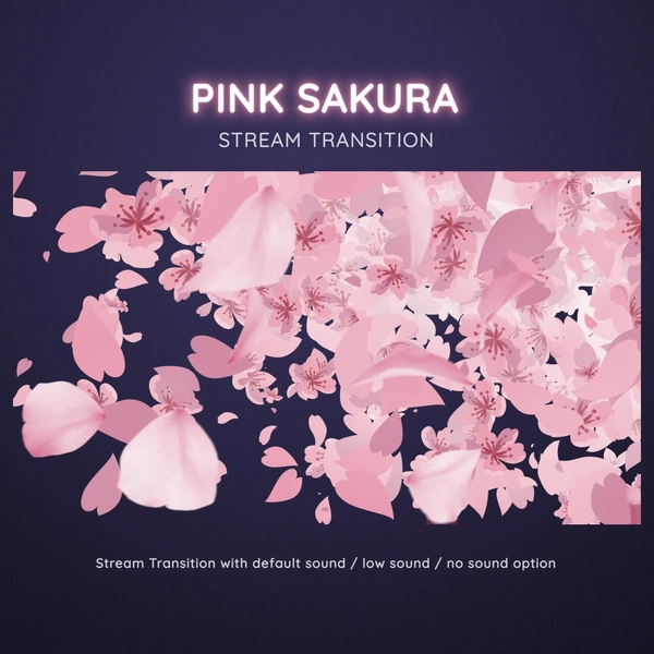 Sakura Cherry Blossom Transition