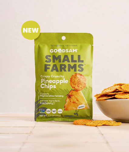 Crispy Crunchy Pineapple Chips - 1 Bag - 0.7 oz